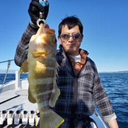 ブルーピア 釣果