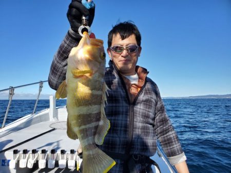 ブルーピア 釣果