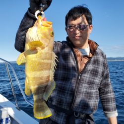 ブルーピア 釣果