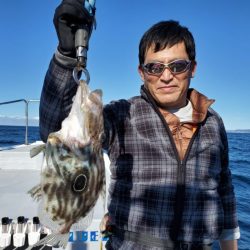 ブルーピア 釣果