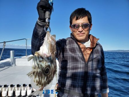 ブルーピア 釣果