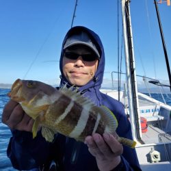 ブルーピア 釣果