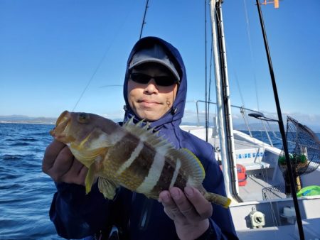 ブルーピア 釣果