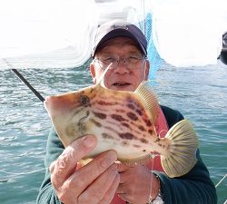 遊漁船 幸友丸 釣果