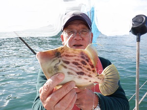 遊漁船 幸友丸 釣果