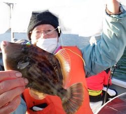 遊漁船 幸友丸 釣果