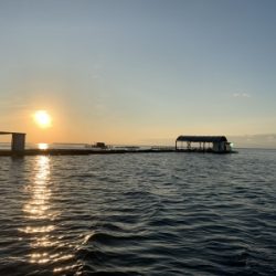 本部釣りイカダ 釣果