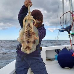 フィッシングボートACE(エース) 釣果