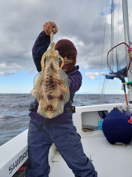 フィッシングボートACE(エース) 釣果