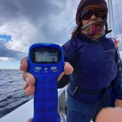 フィッシングボートACE(エース) 釣果