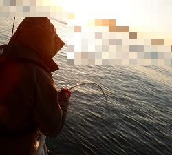 遊漁船 幸友丸 釣果