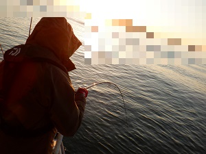 遊漁船 幸友丸 釣果