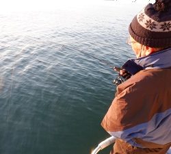 遊漁船 幸友丸 釣果