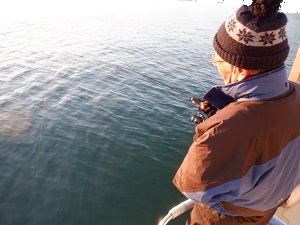 遊漁船 幸友丸 釣果