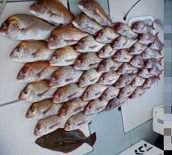 遊漁船 幸友丸 釣果