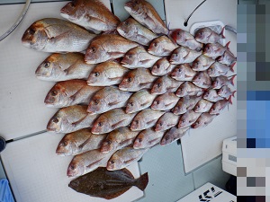 遊漁船 幸友丸 釣果