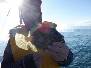 遊漁船 幸友丸 釣果