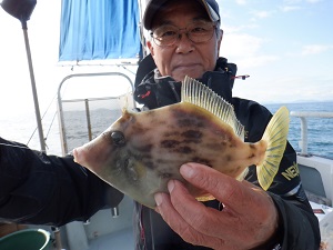 遊漁船 幸友丸 釣果