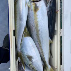 海龍丸（福岡） 釣果