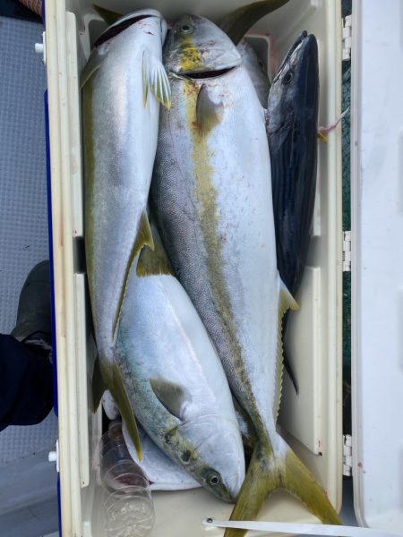 海龍丸（福岡） 釣果