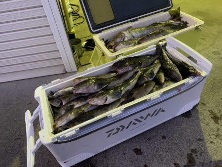 第八平成丸 釣果