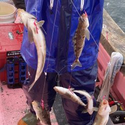 第八平成丸 釣果