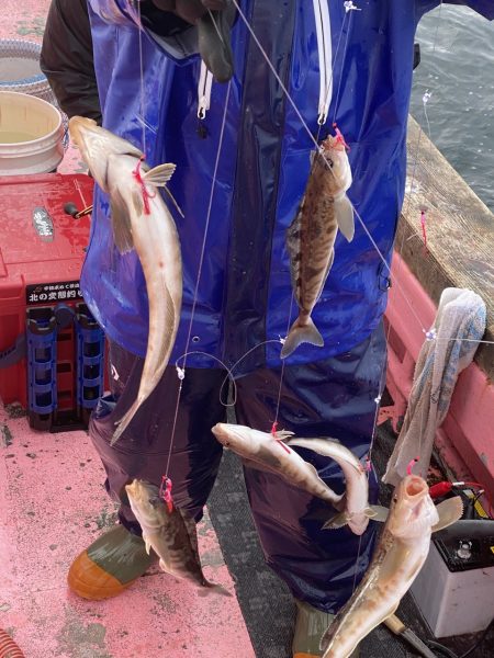 第八平成丸 釣果