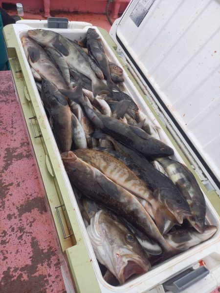 第八平成丸 釣果