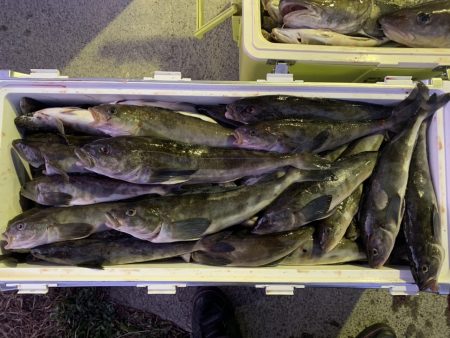 第八平成丸 釣果