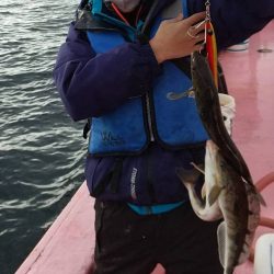 第八平成丸 釣果