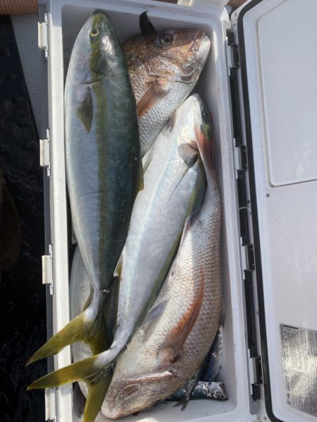 海龍丸（福岡） 釣果