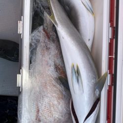 海龍丸（福岡） 釣果