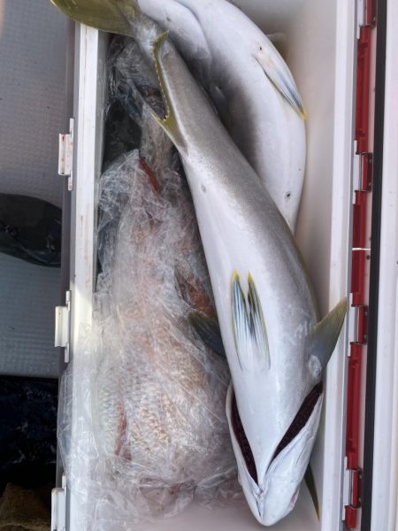 海龍丸（福岡） 釣果