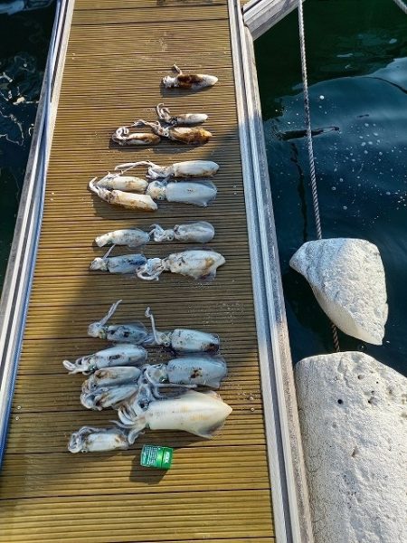 フィッシングボートACE（エース） 釣果