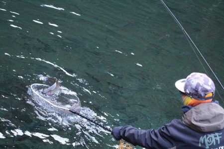 小菅トラウトガーデン 釣果