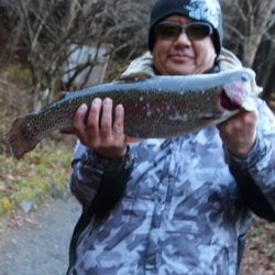 小菅トラウトガーデン 釣果