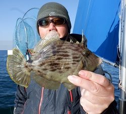 遊漁船 幸友丸 釣果