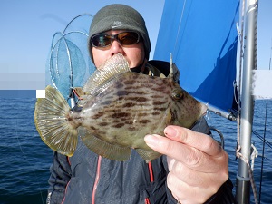 遊漁船 幸友丸 釣果