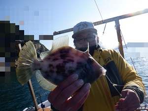 遊漁船 幸友丸 釣果