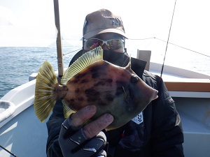 遊漁船 幸友丸 釣果