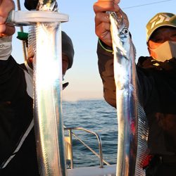 松本釣船２ 釣果