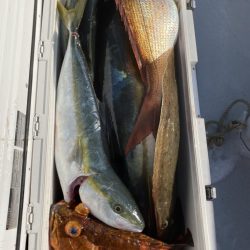 海龍丸(福岡) 釣果