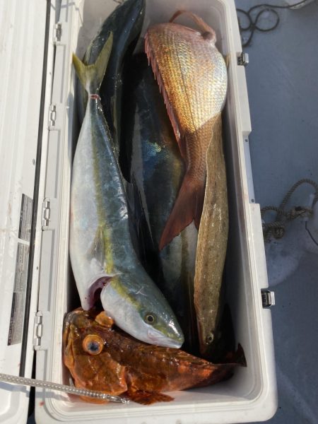 海龍丸(福岡) 釣果