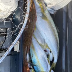 海龍丸(福岡) 釣果