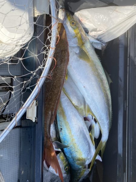 海龍丸（福岡） 釣果