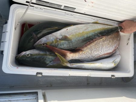 海龍丸(福岡) 釣果