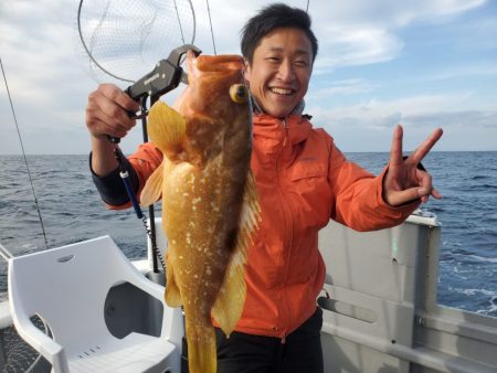 ブルーピア 釣果