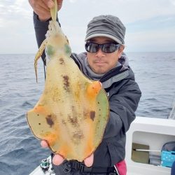 フィッシングボートACE(エース) 釣果