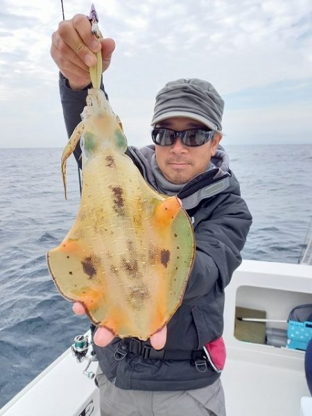 フィッシングボートACE(エース) 釣果