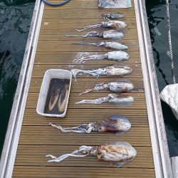 フィッシングボートACE(エース) 釣果